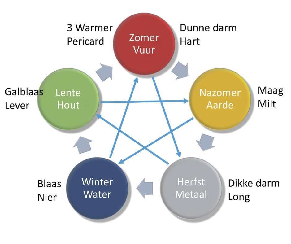 leefstijl_5_elementen