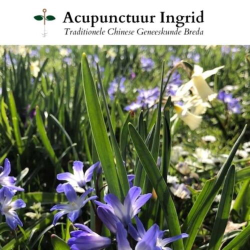 De lente is begonnen