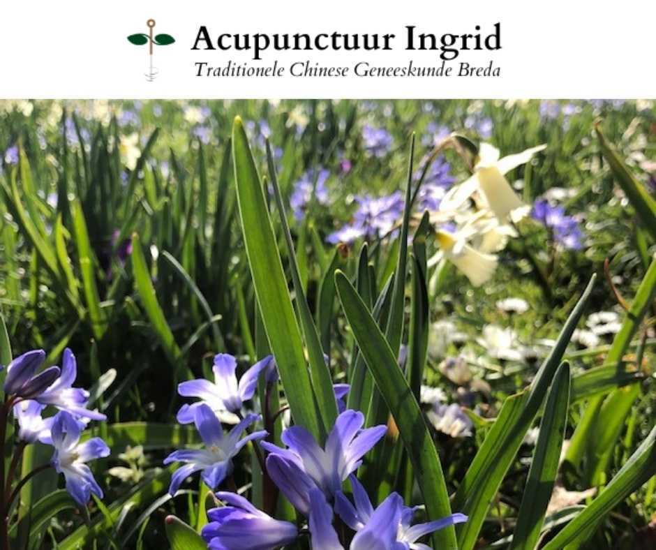 De lente is begonnen